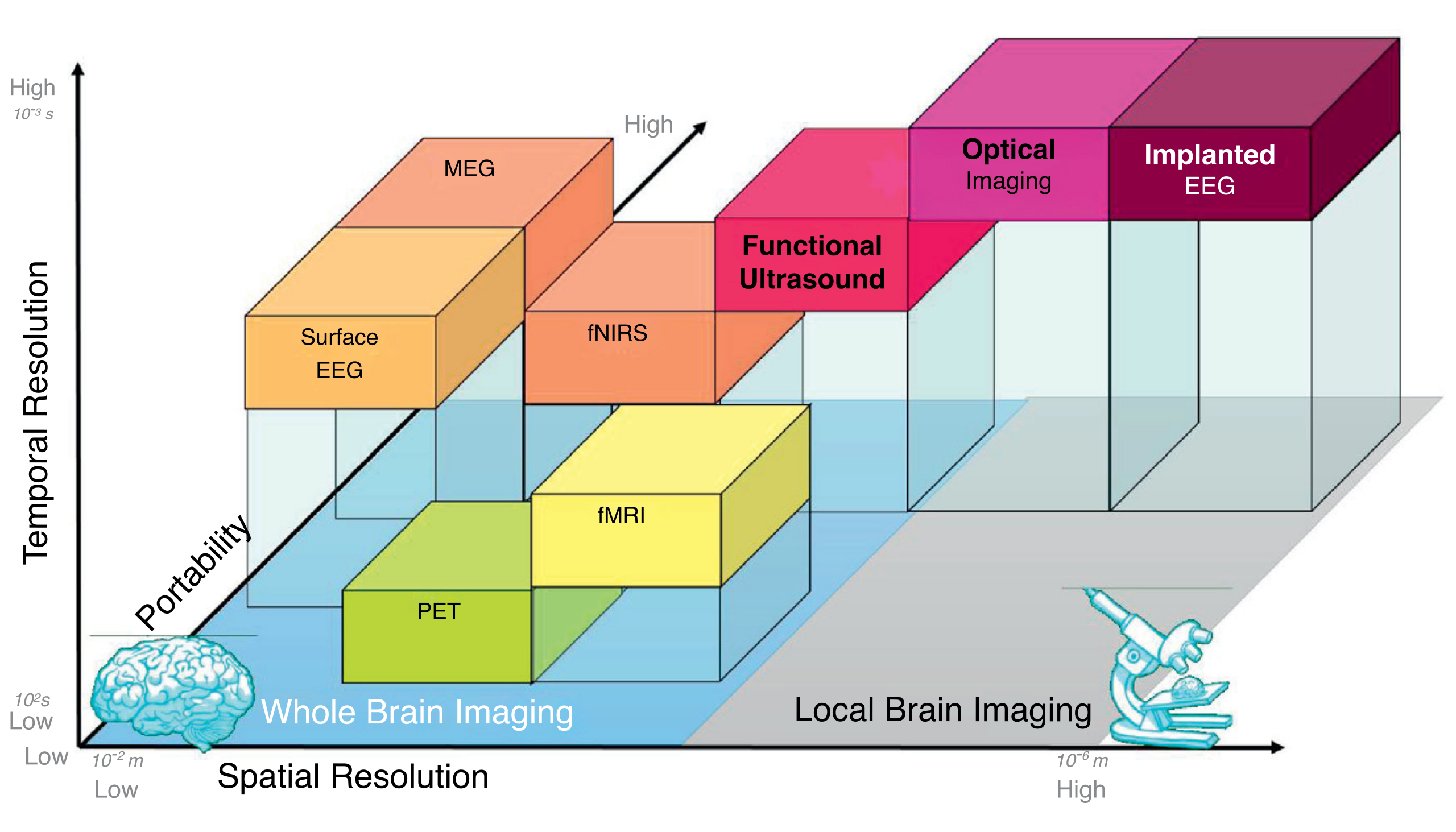 Brain functional imaging techniques